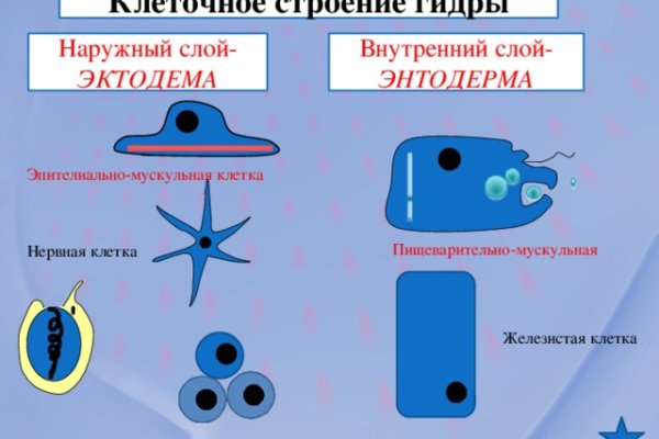 Kraken tor зеркало