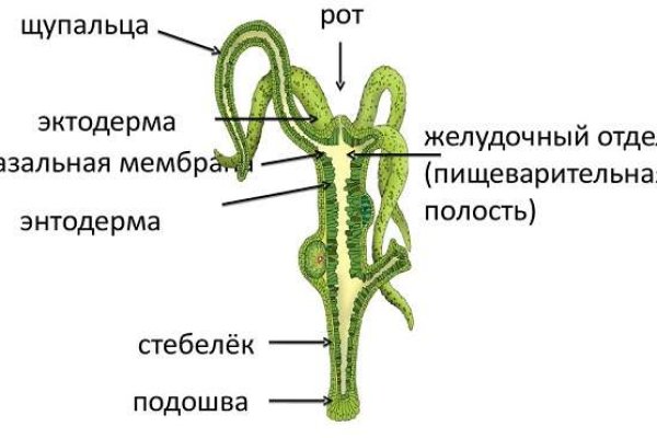 Услуги даркнета