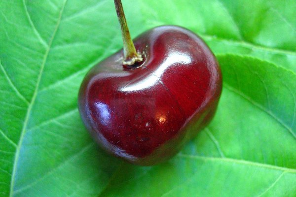 Кракен продает наркотики