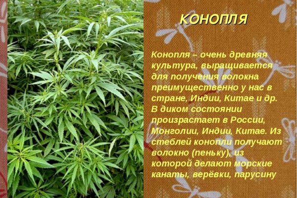 Кракен современный даркнет маркет плейс
