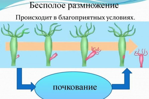 Ссылка на кракен onion kraken dark link
