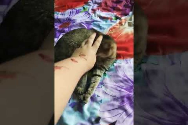Кракен купить наркоту