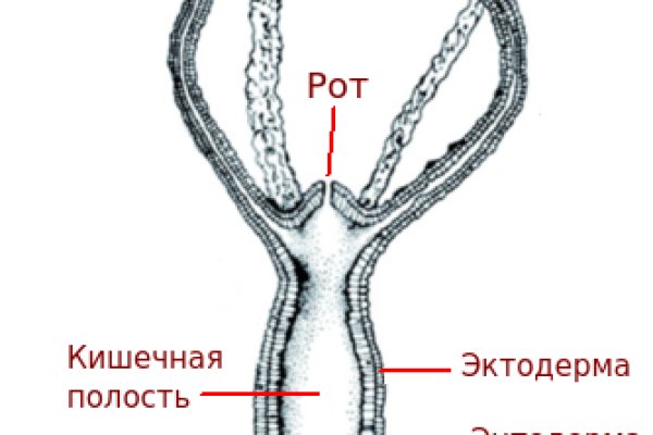 Официальный сайт kraken ссылки зеркала