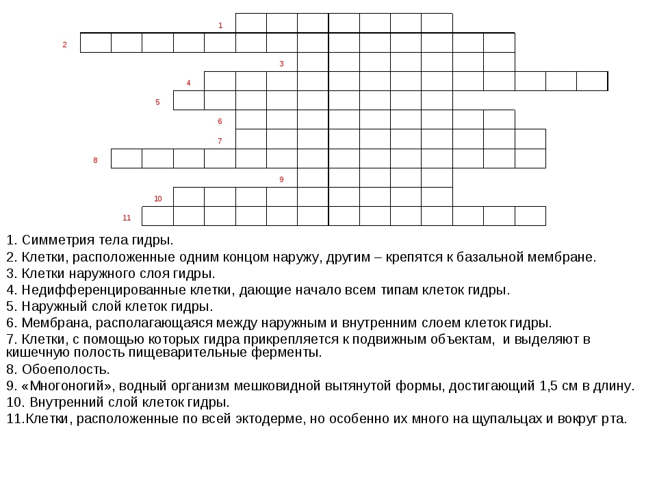Даркнет площадки